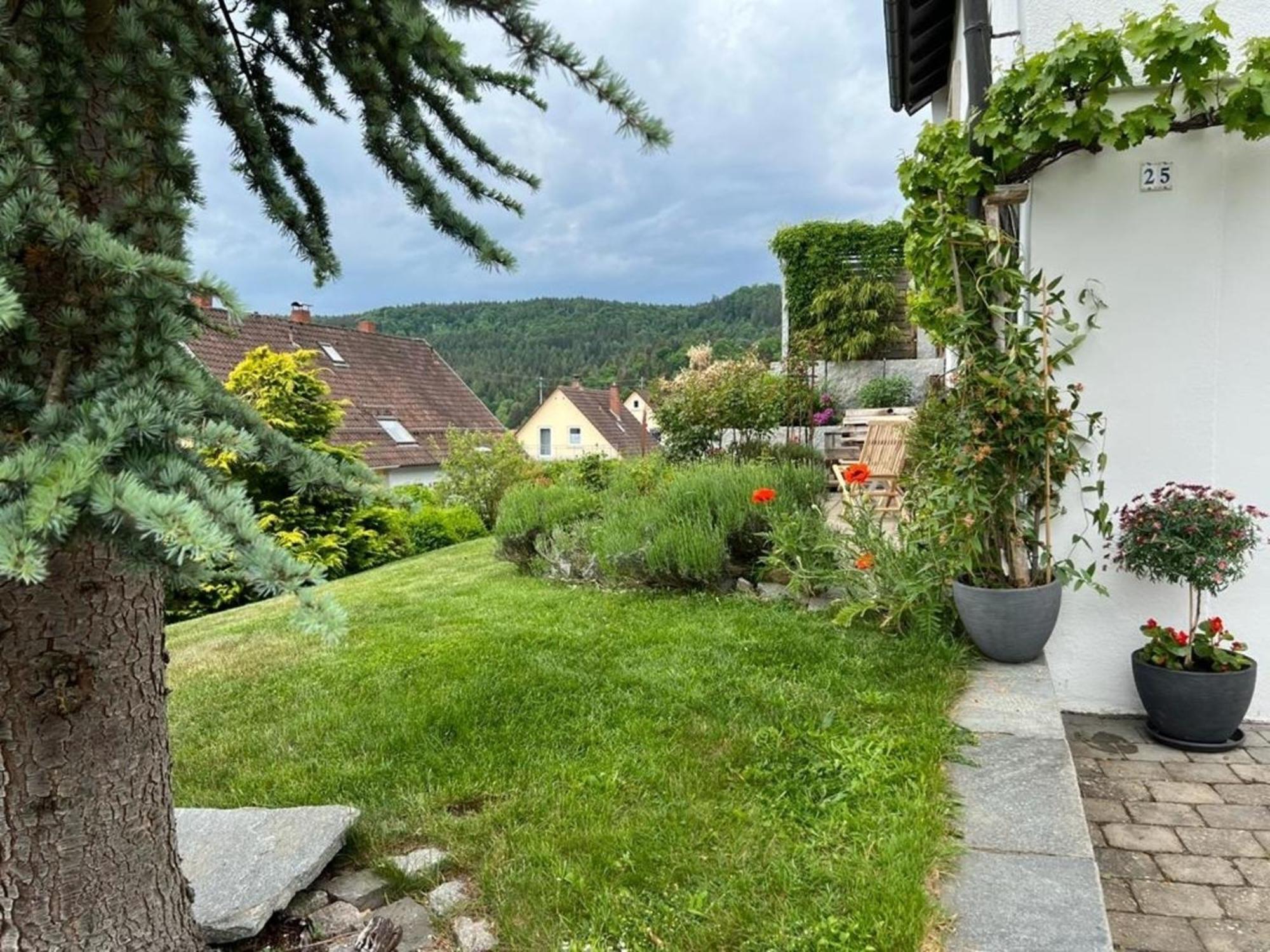Ferienwohnung Jardin De Lavande Fridingen an der Donau Eksteriør bilde