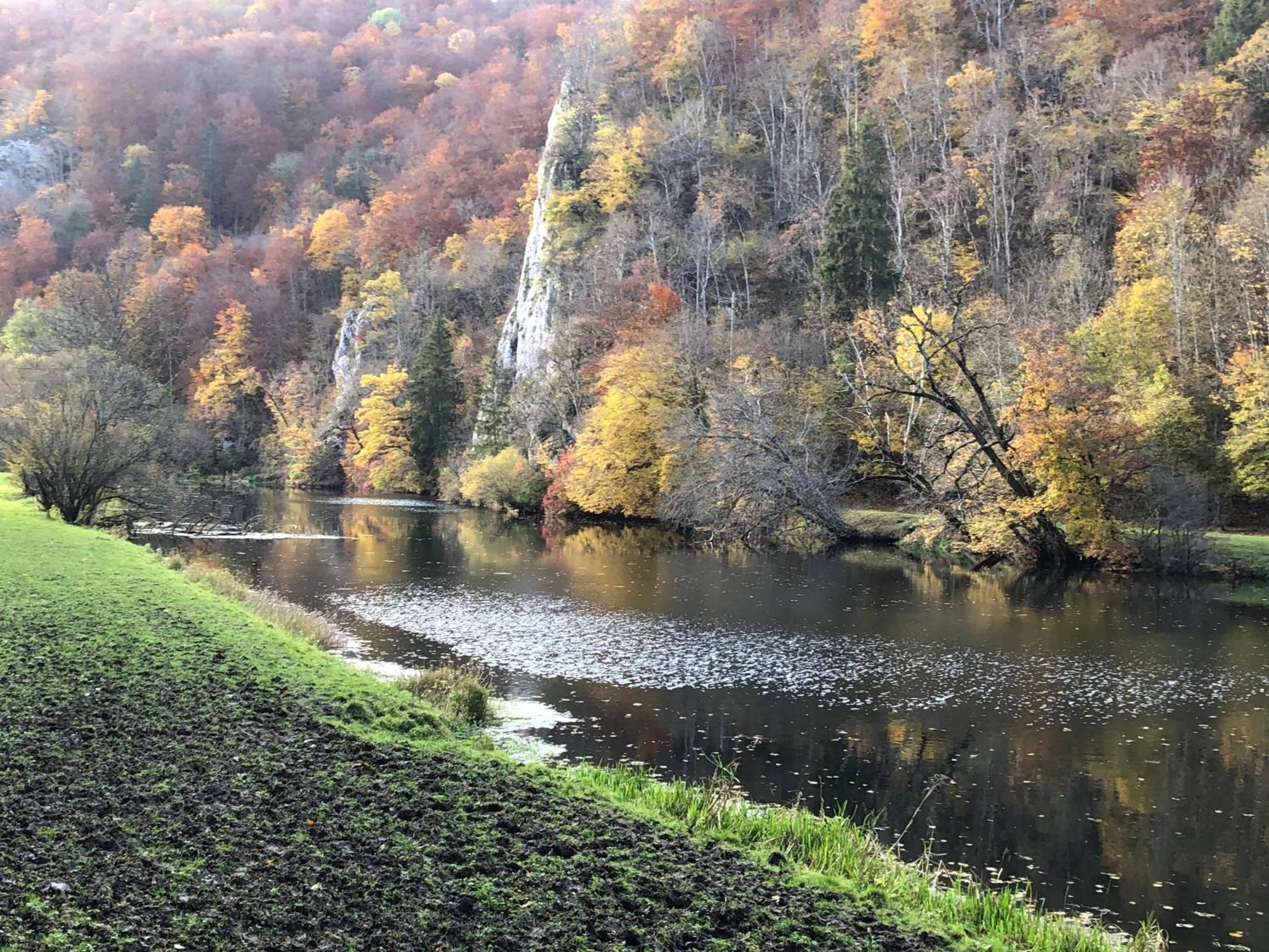 Ferienwohnung Jardin De Lavande Fridingen an der Donau Eksteriør bilde