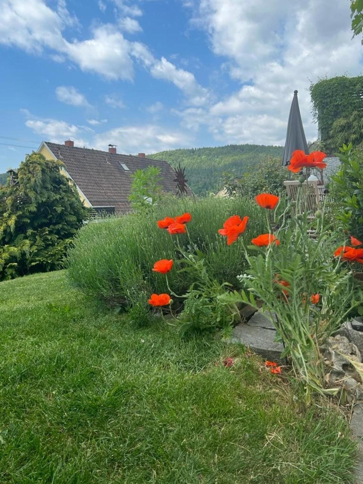 Ferienwohnung Jardin De Lavande Fridingen an der Donau Eksteriør bilde